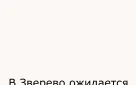 Главное управление МЧС России по Ростовской области информирует