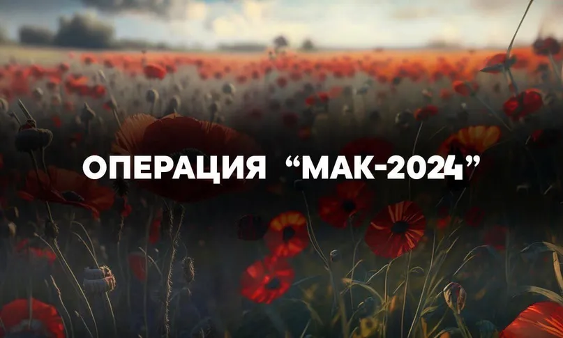 На территории Ростовской области запланировано проведение трех этапов межведомственной комплексной оперативно-профилактической операции «Мак-2024»