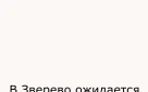 Вниманию жителей города Зверево!