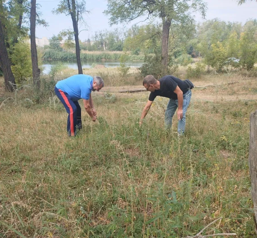 В Зверево состоялся выезд межведомственной рабочей группы антинаркотической комиссии города Зверево в рамках акции «Единый день борьбы с дикорастущей коноплей»