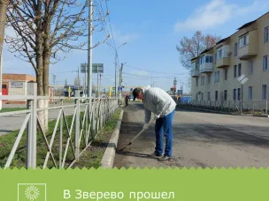 В города Зверево прошел общеобластной субботник