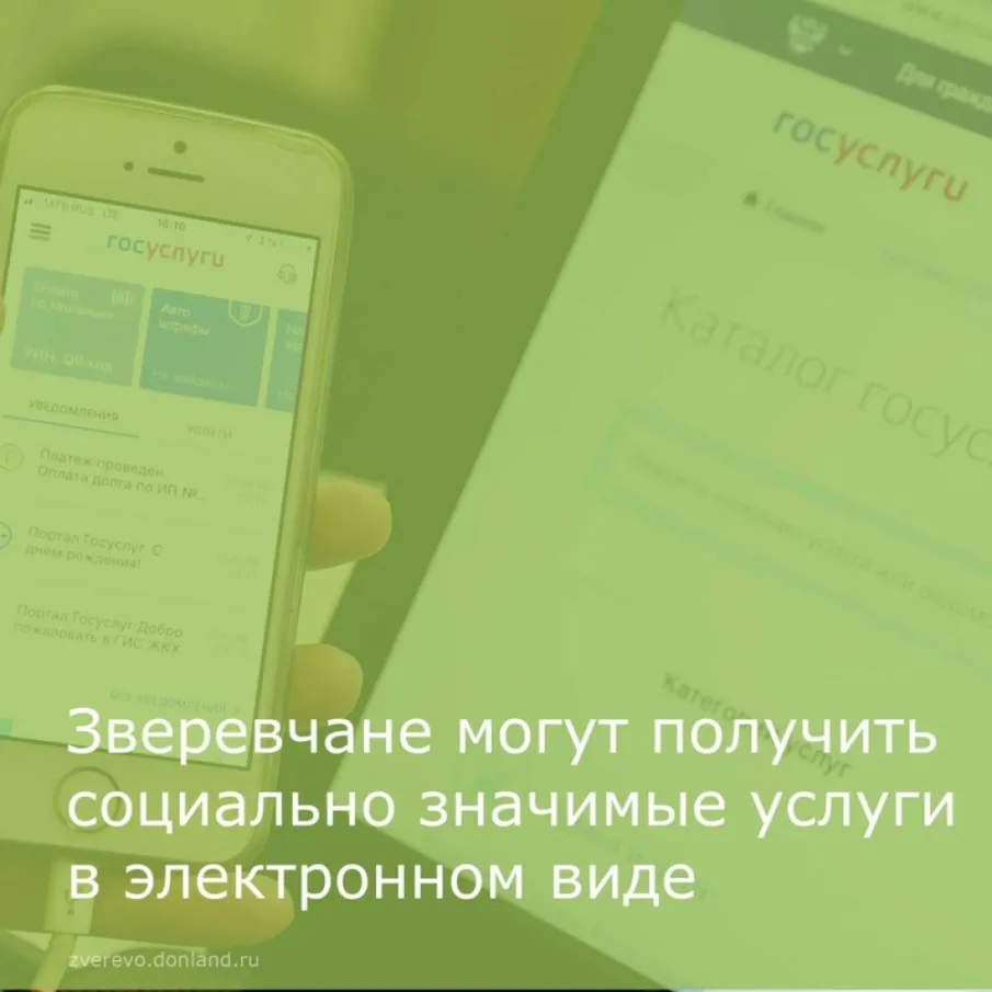 Массовые социально значимые услуги