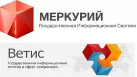 Внимание «Путина-2019»
