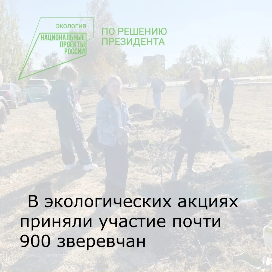 В экологических акциях приняли участие почти 900 зверевчан