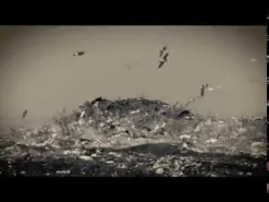 Фильм "Жизнь мусора"
