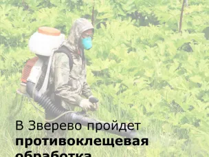 В Зверево пройдет обработка территорий от клещей