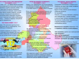 Система обеспечения вызова экстренных оперативных служб по единому номеру «112»