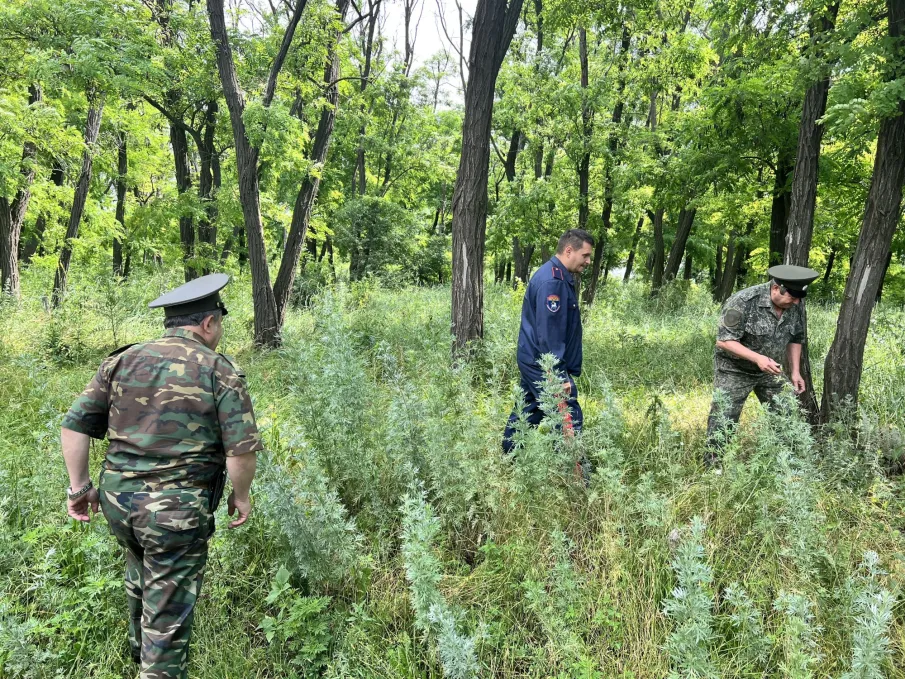 В Зверево состоялся выезд межведомственной рабочей группы антинаркотической комиссии города Зверево в рамках акции «Единый день борьбы с дикорастущей коноплей»